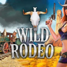 Wild Rodeo